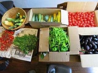 浜田さんの無農薬野菜